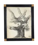 Study of a tree by Alphonse Nicolas-michel Mandevare, 1823, drawing, offered May 2022