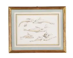 A study of a fish by Graham Rust, drawing, sold May 2022