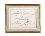 A study of a fish by Graham Rust, drawing, sold May 2022