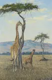 Giraffes on the savanna by Larry Norton, Oil on canvas, offered Apr 2022