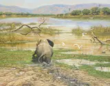 The elephant by Larry Norton, Oil on canvas, offered Apr 2022