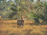 Posing pig in palms (warthog) by Larry Norton, Oil on canvas, offered Apr 2022