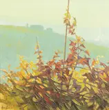 Piemonte, late autumn vines by Alan Cotton, Oil on canvas, sold Apr 2022