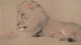 Lion resting by William Huggins, 1881, Pencil and coloured chalks, offered Apr 2022