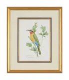 Tropical birdsA set of eight watercoloursAll signed, dated 94 or 95 and variously titled (lower left and right)33 x 24.5cm (12 x 9½ in.) (8) by Valerie Ettershank, watercolor, sold Apr 2022