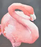 Greater Flamingo I; Greater Flamingo IIOil on board Both signed and dated MMI (lower left)Each approx by David Ord Kerr, oil, sold Mar 2022