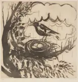 MagpieSugarlift etching, 1977Signed in pencil and numbered 36/60Plate: 49.5 x 49cm (19¼ x 19¼ in.)Condition Report: Unexamined out of glazed frame by Brett Whiteley, etching, sold Mar 2022