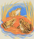 Frogs by Clifford Webb Rba Re Swe, watercolor, offered Mar 2022