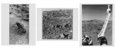 Viking Lander 1, Jul by Martian soil and weather investigations, photograph, sold Feb 2022