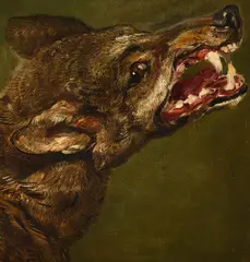 Head of a wolf by Jan Fyt, Oil on canvas, sold Dec 2021