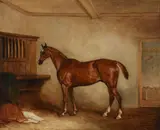 A chestnut hunter in a loose box by John Ferneley Senior, Oil on canvas, sold Dec 2021