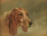 Head of a hound by John Frederick Herring Senior, 1851, oil, sold Dec 2021