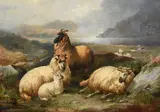 Sheep in a highland landscape by John Charles Morris, oil, sold Dec 2021