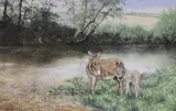 Donkey's beside a river by Geoffrey Campbell Black, oil on canvas, sold Feb 2023