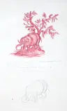 Sketch of an elephant after Jean Baptiste Huet, 32 x 19cm, unframed by Marie Angel, watercolour and pencil, sold Jan 2023