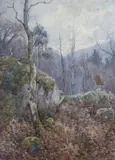 A Wood in the Llugwy Valley by Ralph William Bardill, Wood in the Llugwy Valley', signed, sold Jan 2023