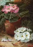 Primroses by Oliver Clare, oil on canvas, sold Jan 2023