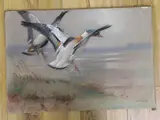 Shelduck Alighting by Allen W. Seaby, oil on canvas board, sold Dec 2022