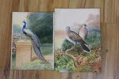 Peacock and Turtle Doves by George Rankin, watercolor, sold Dec 2022