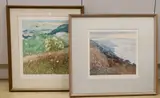 Clouded Yellow by Robert Greenhalf, pencil, sold Nov 2022