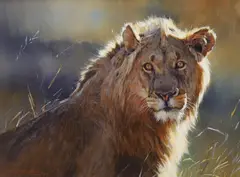 Young Lion by Dino Paravano, 1996, oil on canvas, sold Nov 2022