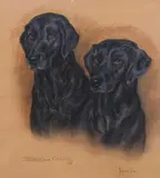 Portrait of two black labradors, Jenna and Cassie by Marjorie Cox, 1998, pastel, sold Nov 2022