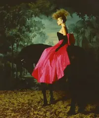 Chromogenic print by Lord Snowdon, print, sold Nov 2022