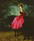 Chromogenic print by Lord Snowdon, print, sold Nov 2022