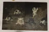 Studies of kittens by Eduardo Sánchez Solá, drawing, sold Oct 2022