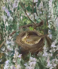 Mother Thrush by Amy Browning, oil on board, sold Oct 2022