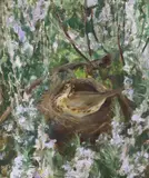 Mother Thrush by Amy Browning, oil on board, sold Oct 2022