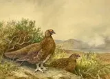 Untitled by Charles Stanley Todd, watercolour and gouache, offered Apr 2023