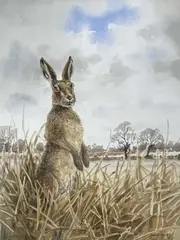 A standing hare by John Paley, watercolour, sold Apr 2023