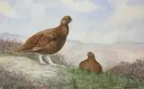 Mounted by Charles Stanley Todd, watercolour, sold Apr 2023
