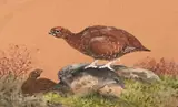Untitled by Charles Stanley Todd, watercolour and gouache on paper, sold Apr 2023