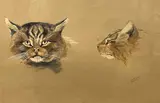 A head study of a wild cat in a side and full facial by Charles Stanley Todd, watercolour and gouache, sold Apr 2023