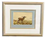 A roaring deer stag by Charles Stanley Todd, watercolour and gouache, offered Apr 2023