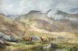 Highland red deer by Charles Stanley Todd, watercolour on paper, sold Apr 2023