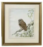 Owl by Andrew Osborne, watercolour, offered Apr 2023