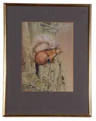 Red Squirrel by John Last, watercolour, offered Apr 2023