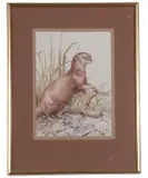 Otter by John Last, watercolour, offered Apr 2023