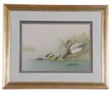 Mallard ducks with young by J.A. Morris, watercolour and gouache, offered Apr 2023