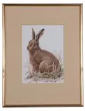 Seated hare by John Last, watercolour, offered Apr 2023