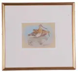 A wisp of snipe by Richard Robjent, watercolour, offered Apr 2023