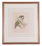 Untitled by Edna Bizon, watercolour, offered Apr 2023