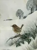 A perched Wren in a winter landscape by Andrew Osborne, print (other), sold Apr 2023