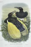 Twelve-wired by William Matthew Hart, lithograph, sold Apr 2023