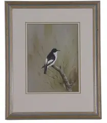 Pied flycatcher perched on a branch by Bryan Reed, print (other), offered Apr 2023