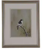 Pied flycatcher perched on a branch by Bryan Reed, print (other), offered Apr 2023