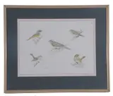 Assortment of garden birds, limited edition, 103/200 by Richard Allan Richardson, print (other), sold Apr 2023
